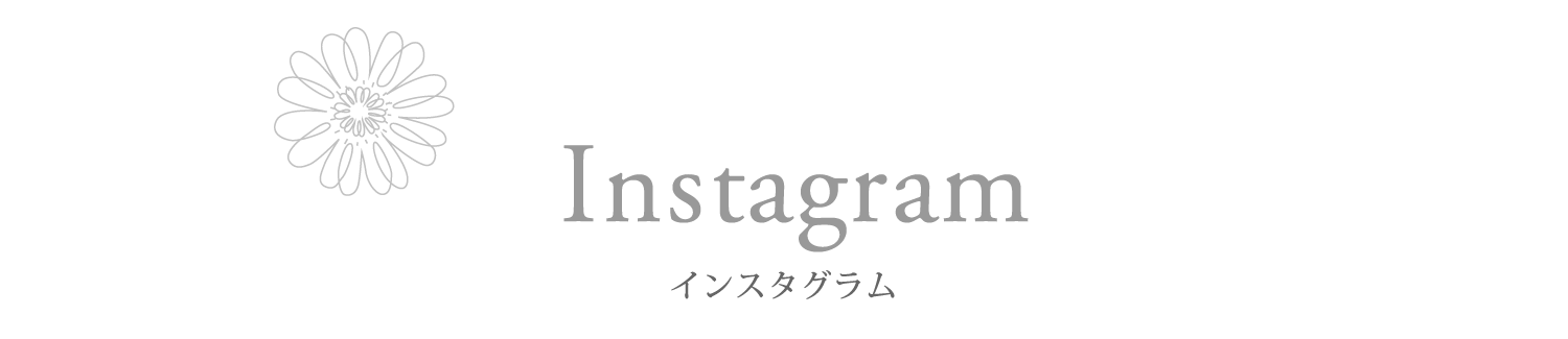 インスタグラム